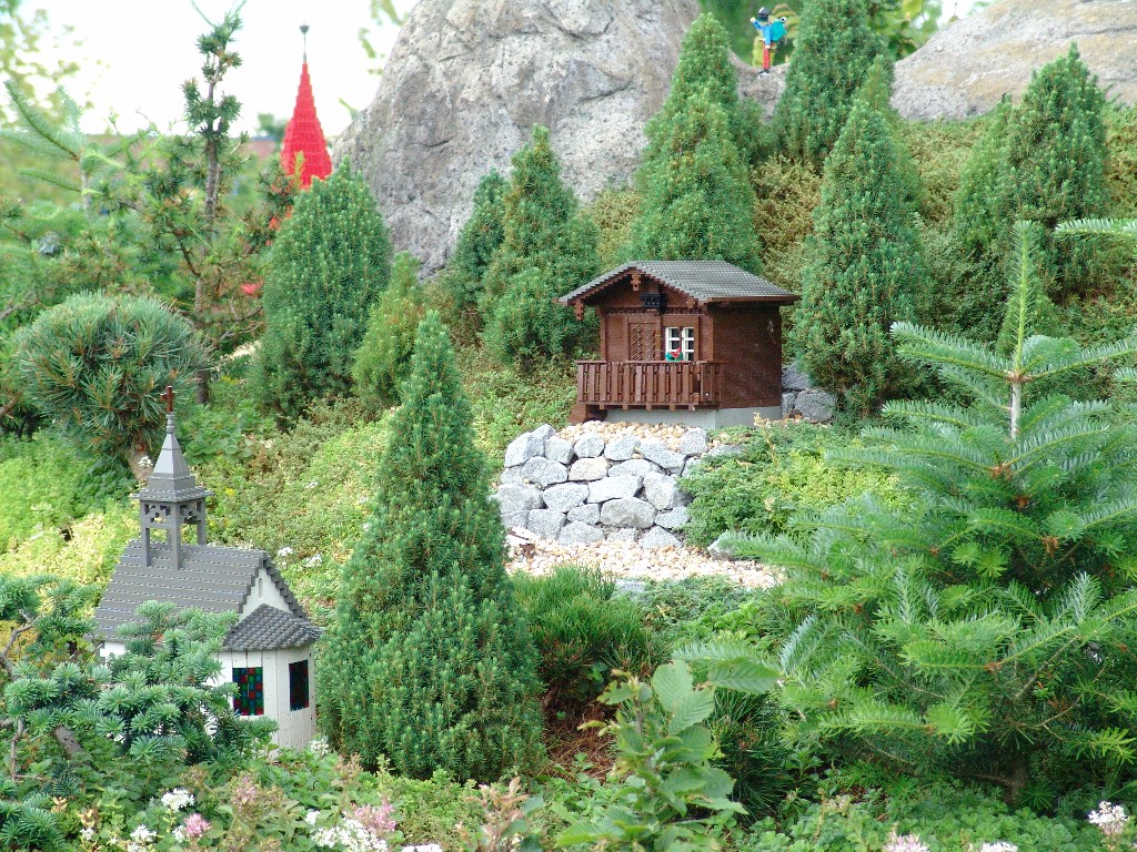 dsc00639.jpg