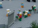 dsc00612.jpg