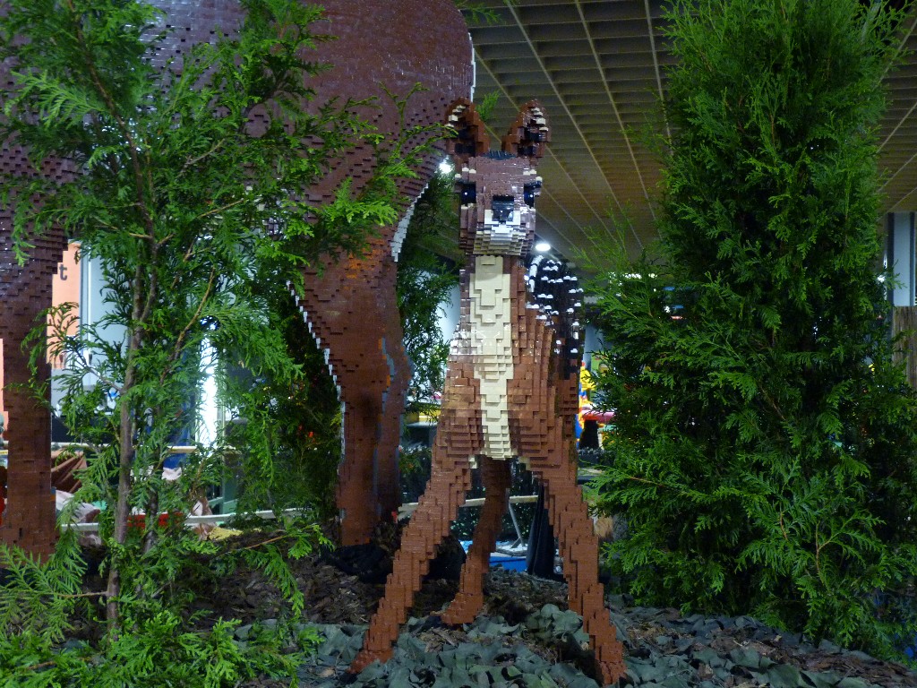 p1040673.jpg