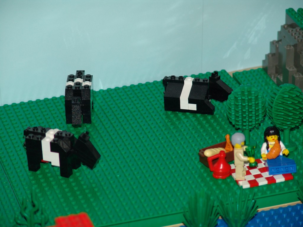 dsc00383.jpg