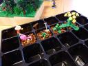 mcbricker_p1030272.jpg