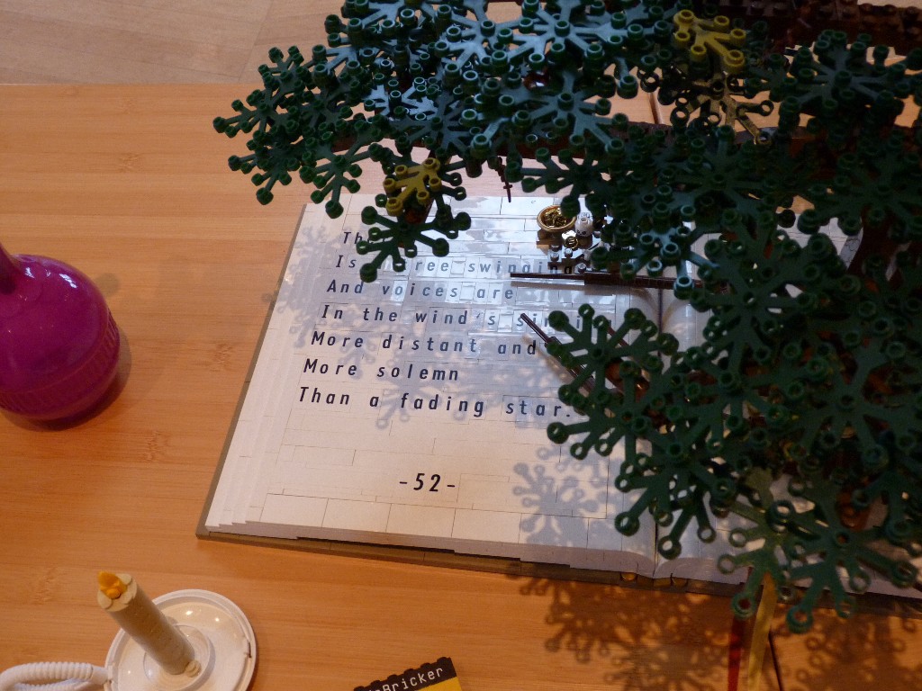 mcbricker_p1050899.jpg