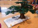 mcbricker_p1050897.jpg