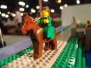 dsc00379.jpg