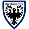 mockingbird-avatar4.png
