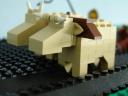 ox.jpg
