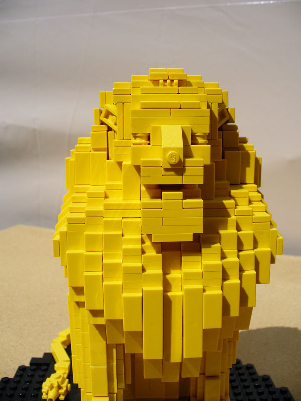 lion_6.jpg