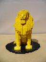 lion_8.jpg