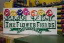 flower_fields_1.jpg