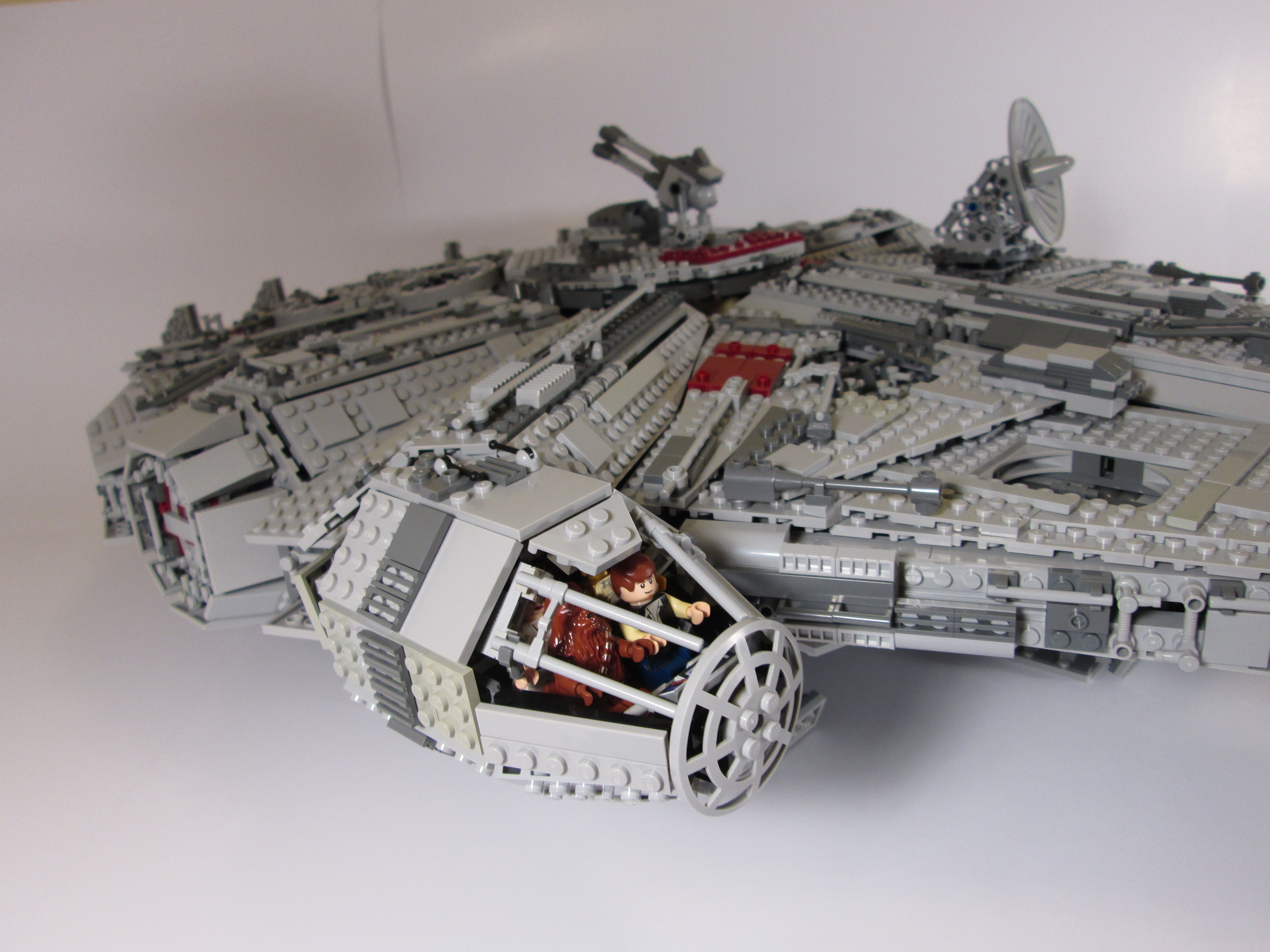 falcon_06.jpg
