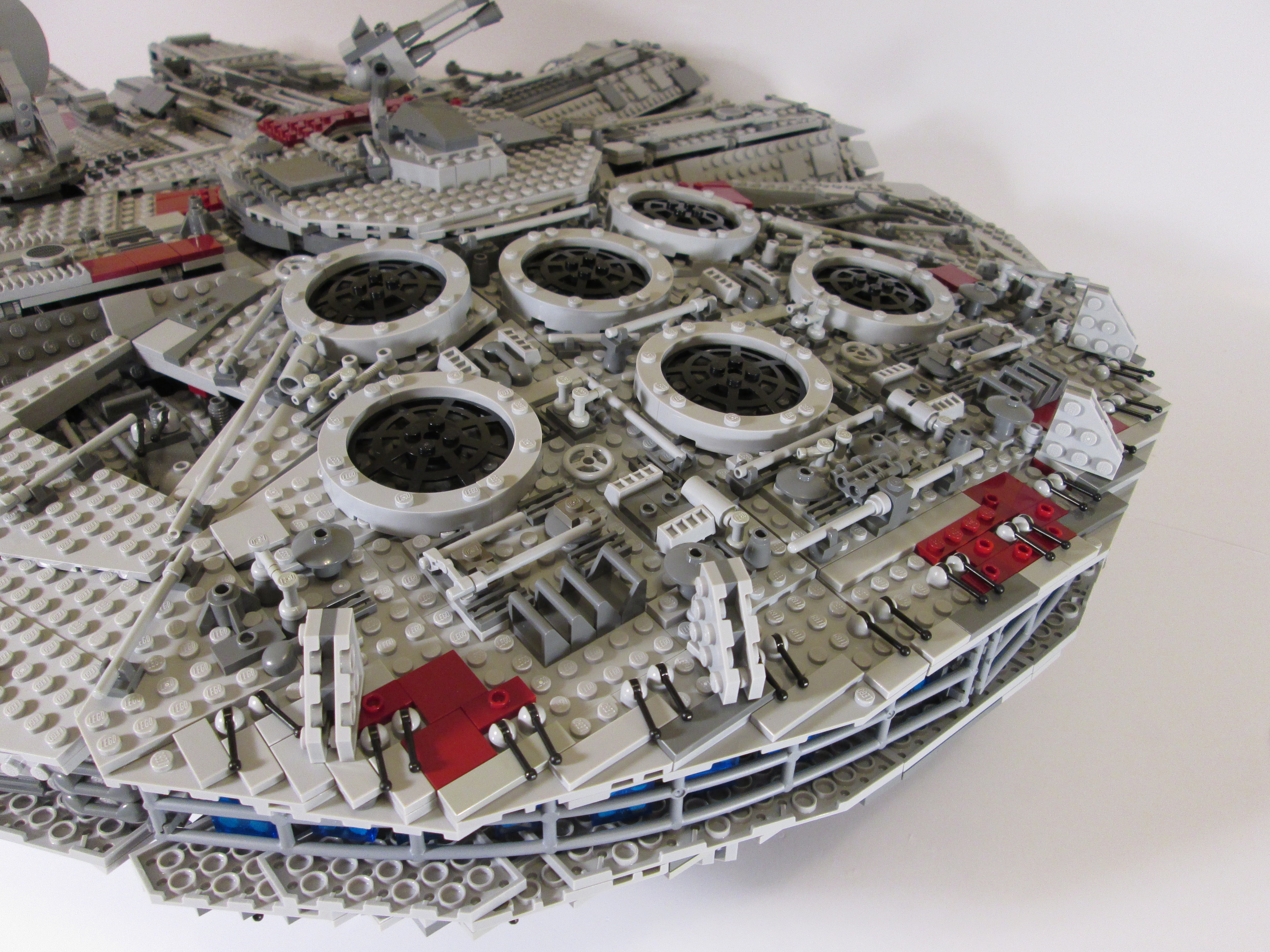 falcon_15.jpg