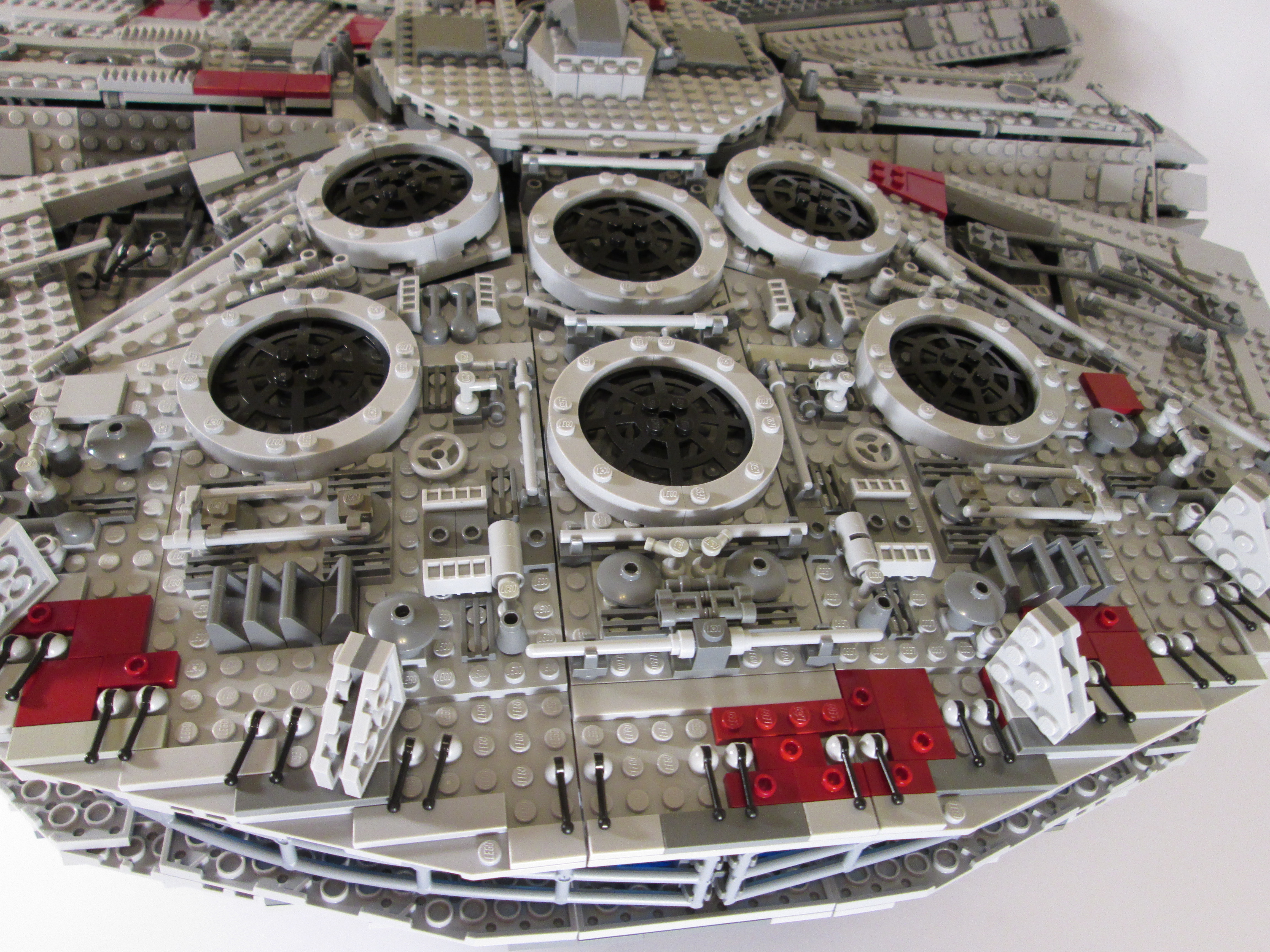 falcon_16.jpg