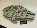 falcon_02.jpg