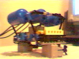 rov6.jpg