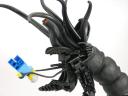 img_worm07f.jpg