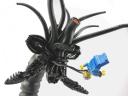 img_worm08f.jpg