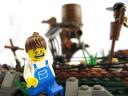 img_worm15f.jpg