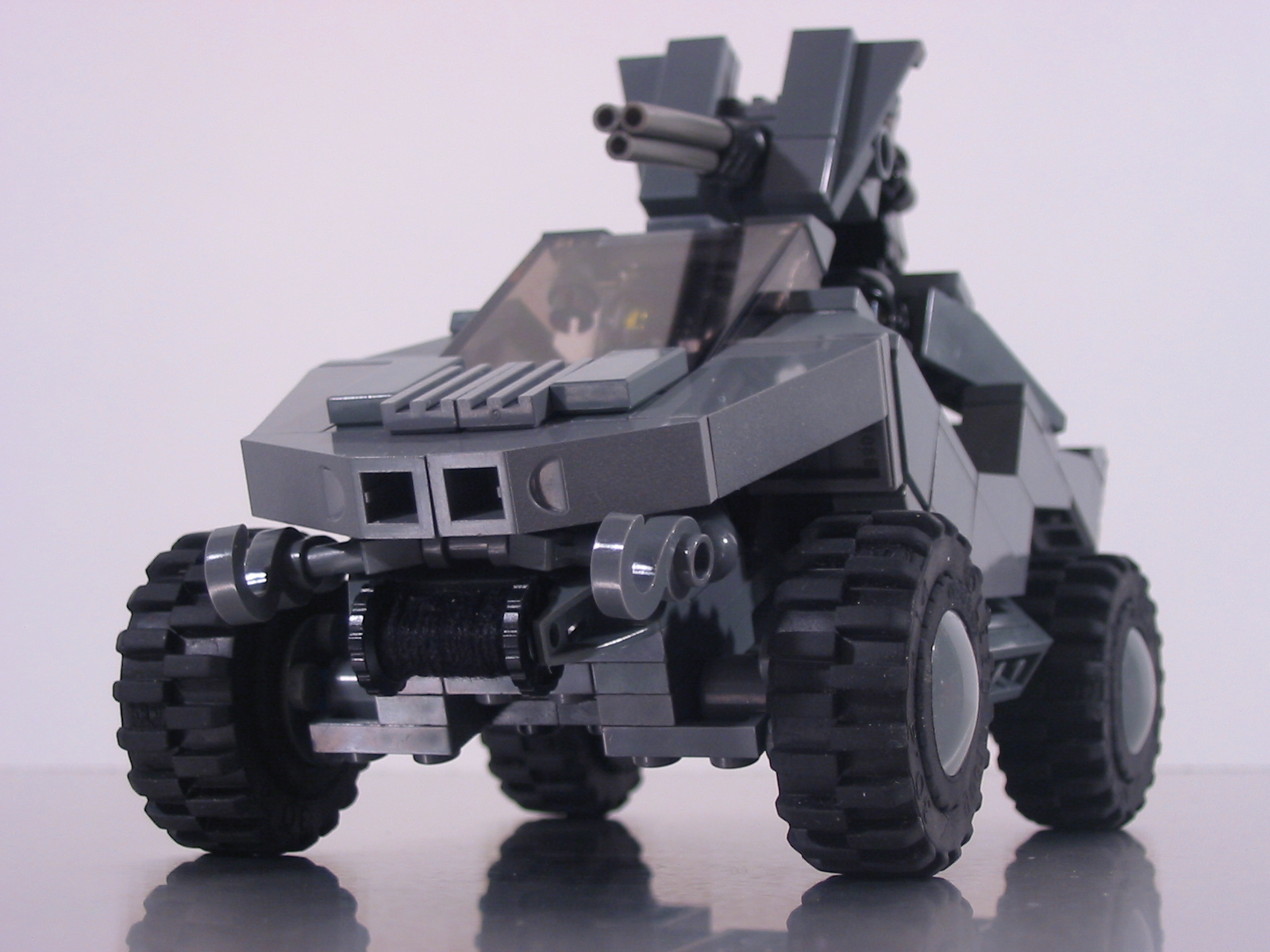 warthog_010.jpg