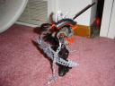 dsc01609.jpg