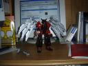 dsc00988.jpg