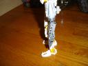 dsc01296.jpg