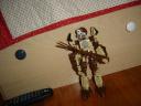 dsc01144.jpg