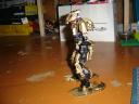 dsc01100.jpg