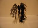 dsc01507.jpg