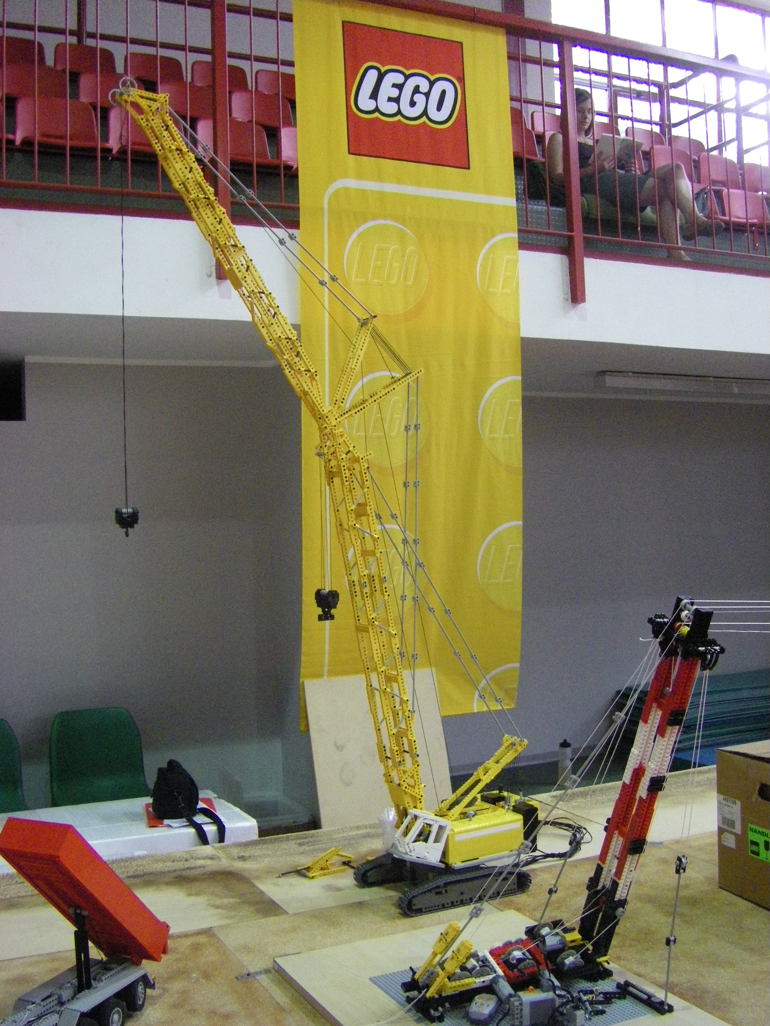 imgp1293.jpg