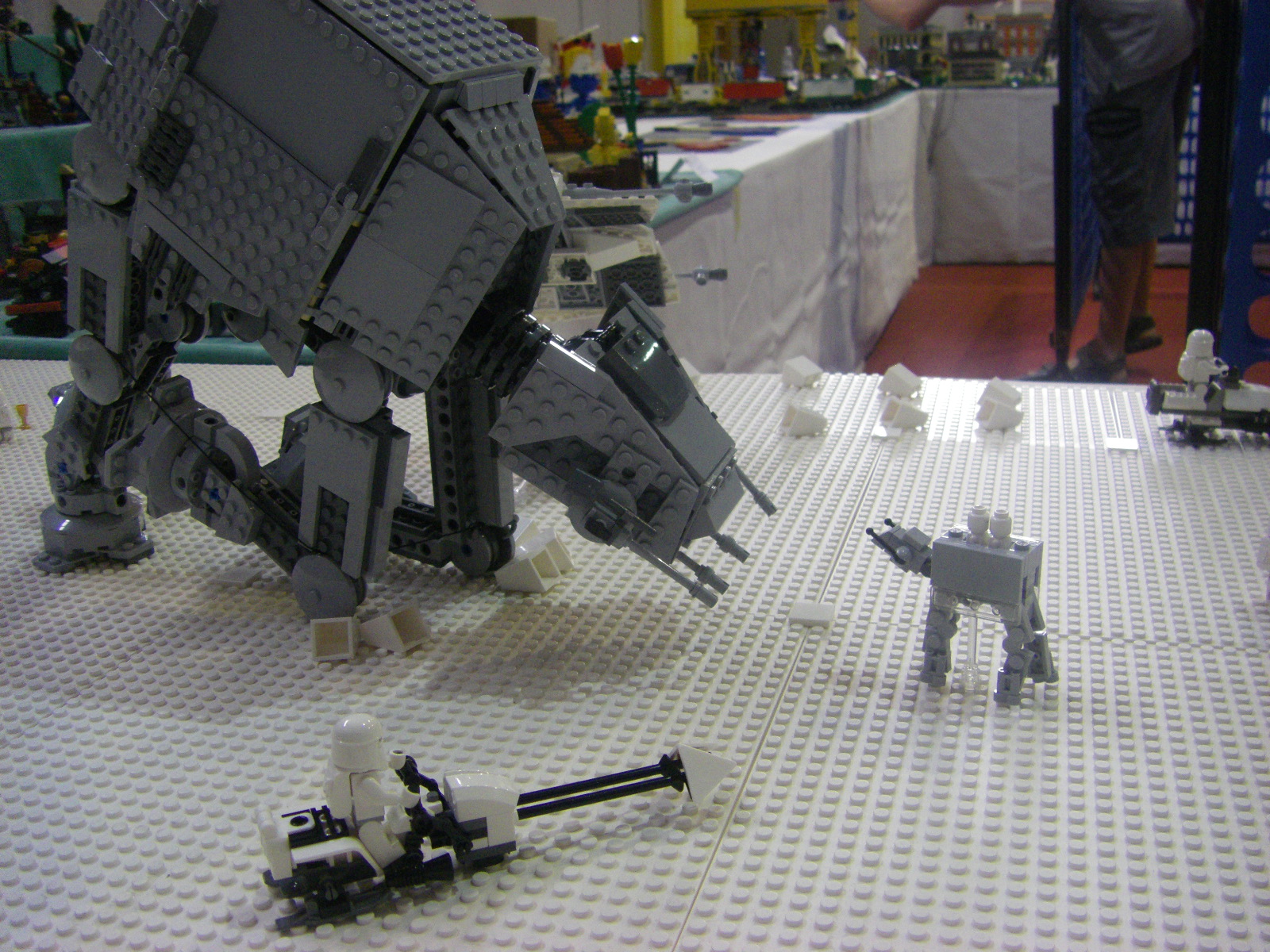 imgp9095.jpg
