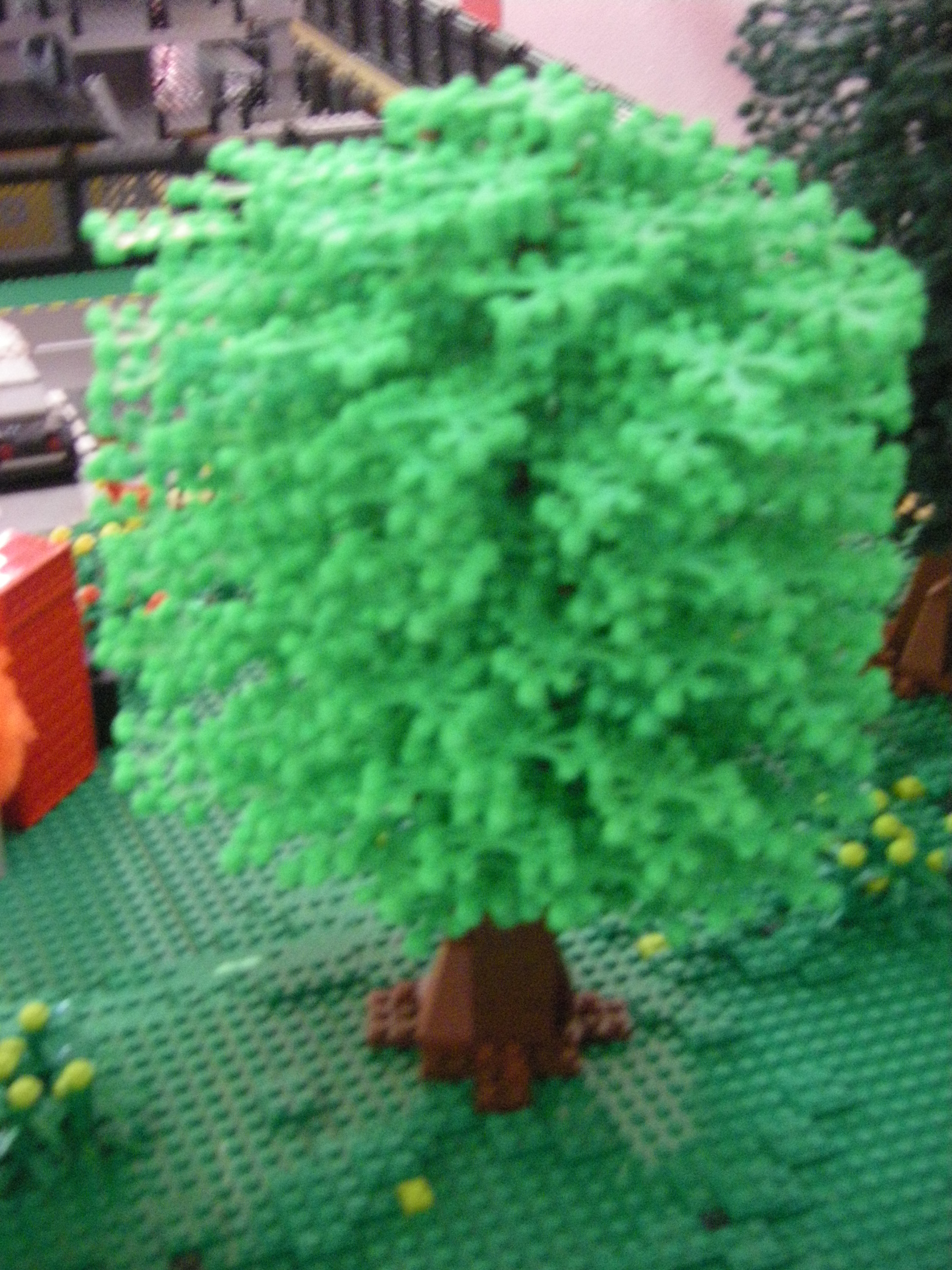 imgp5455.jpg