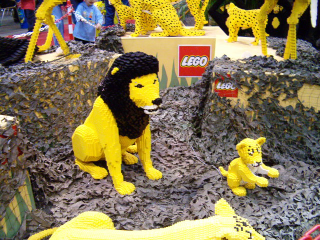 animals6.jpg