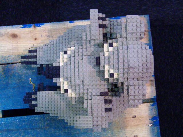 koala12.jpg