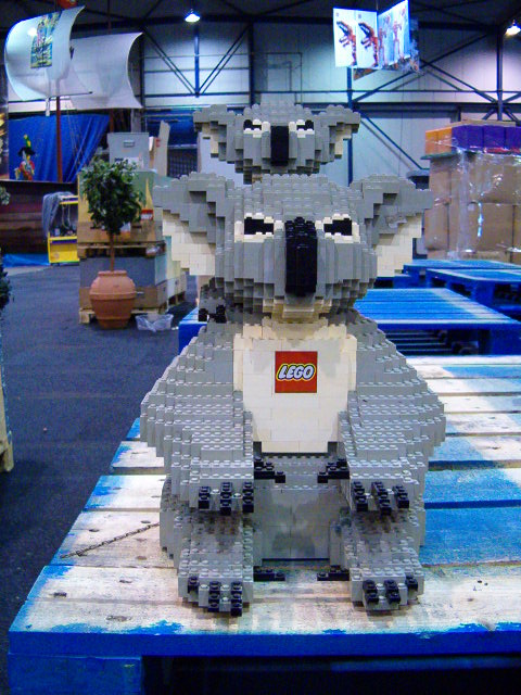 koala2.jpg