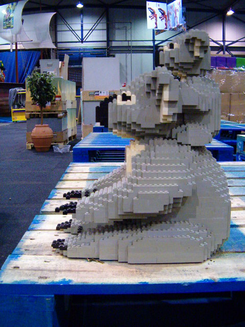 koala4.jpg