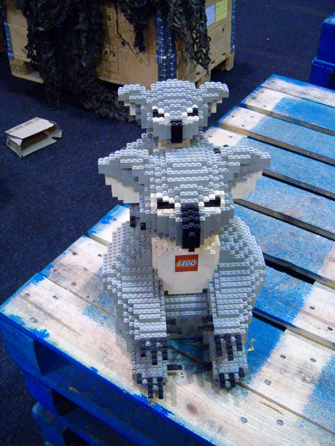 koala9.jpg