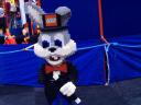 bunny.jpg
