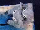 koala12.jpg