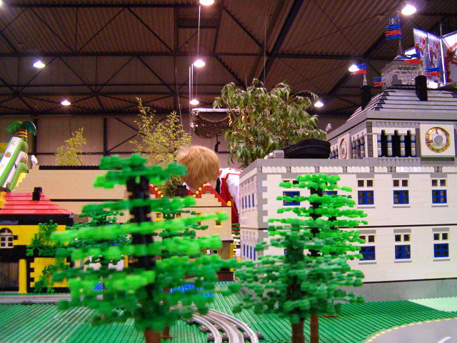 trees.jpg