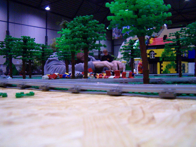 trees1.jpg