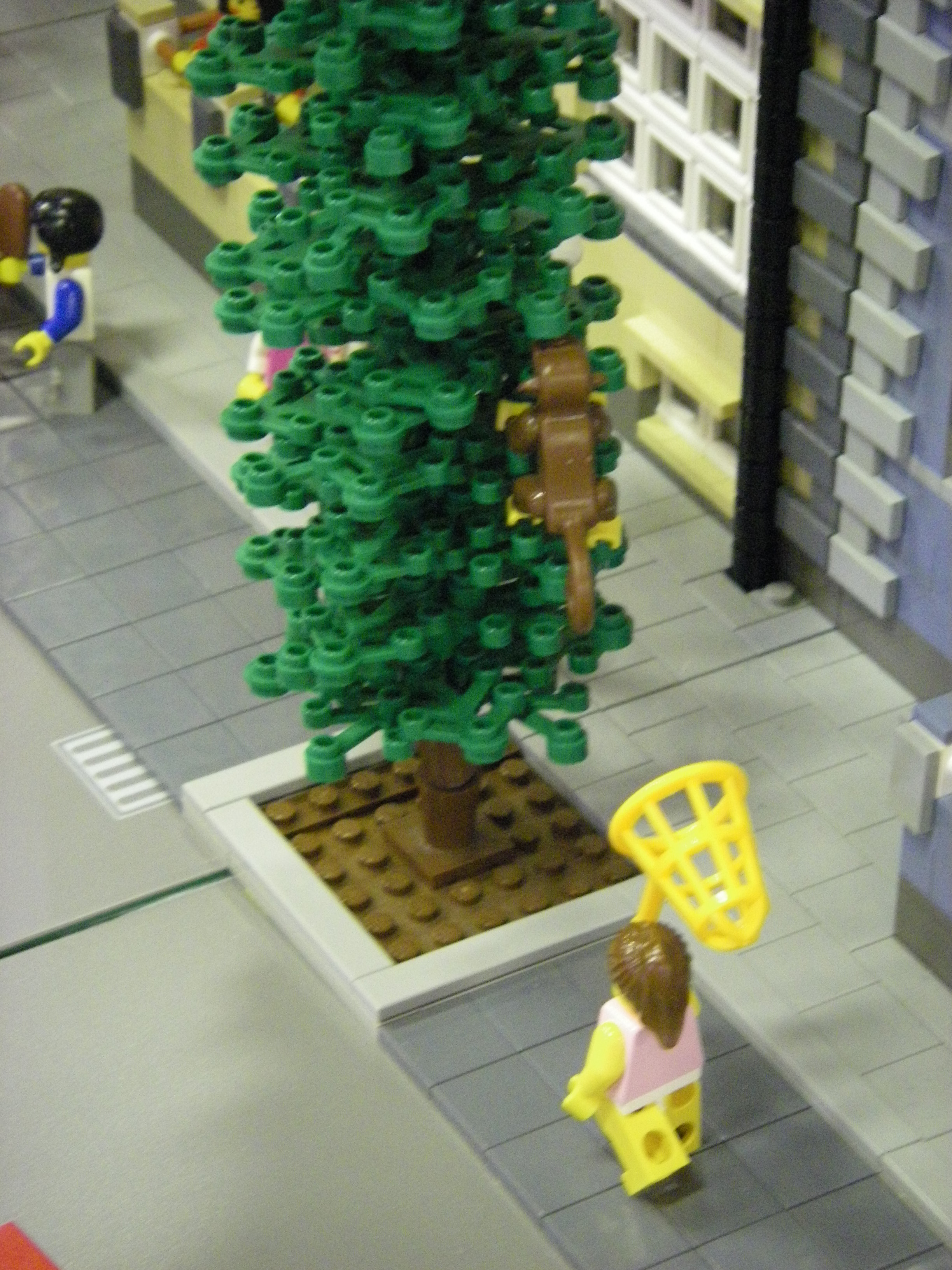imgp0123.jpg