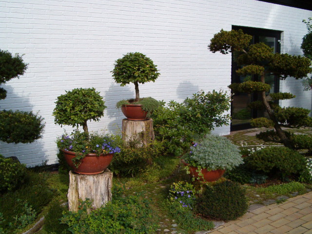 159.jpg