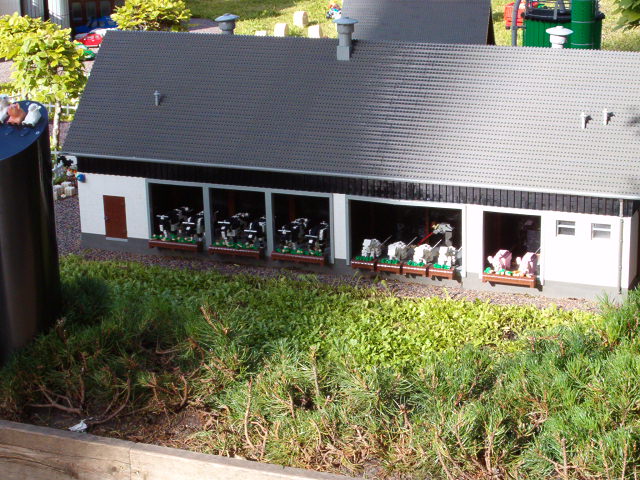 191.jpg