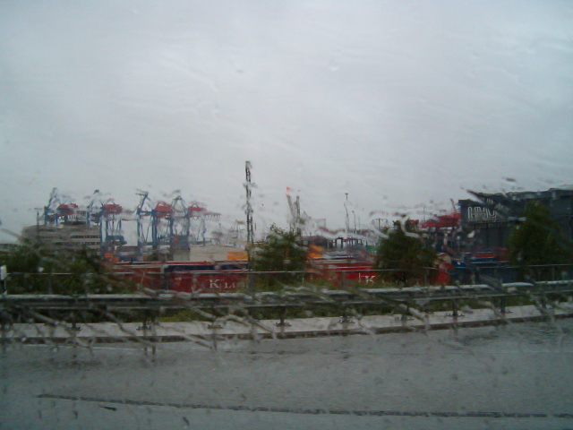 221.jpg