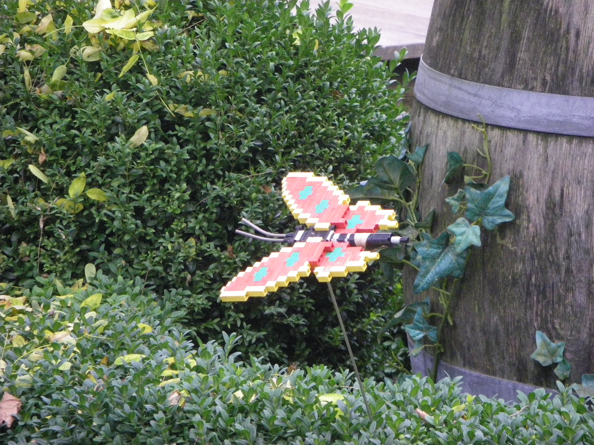 imgp5489.jpg