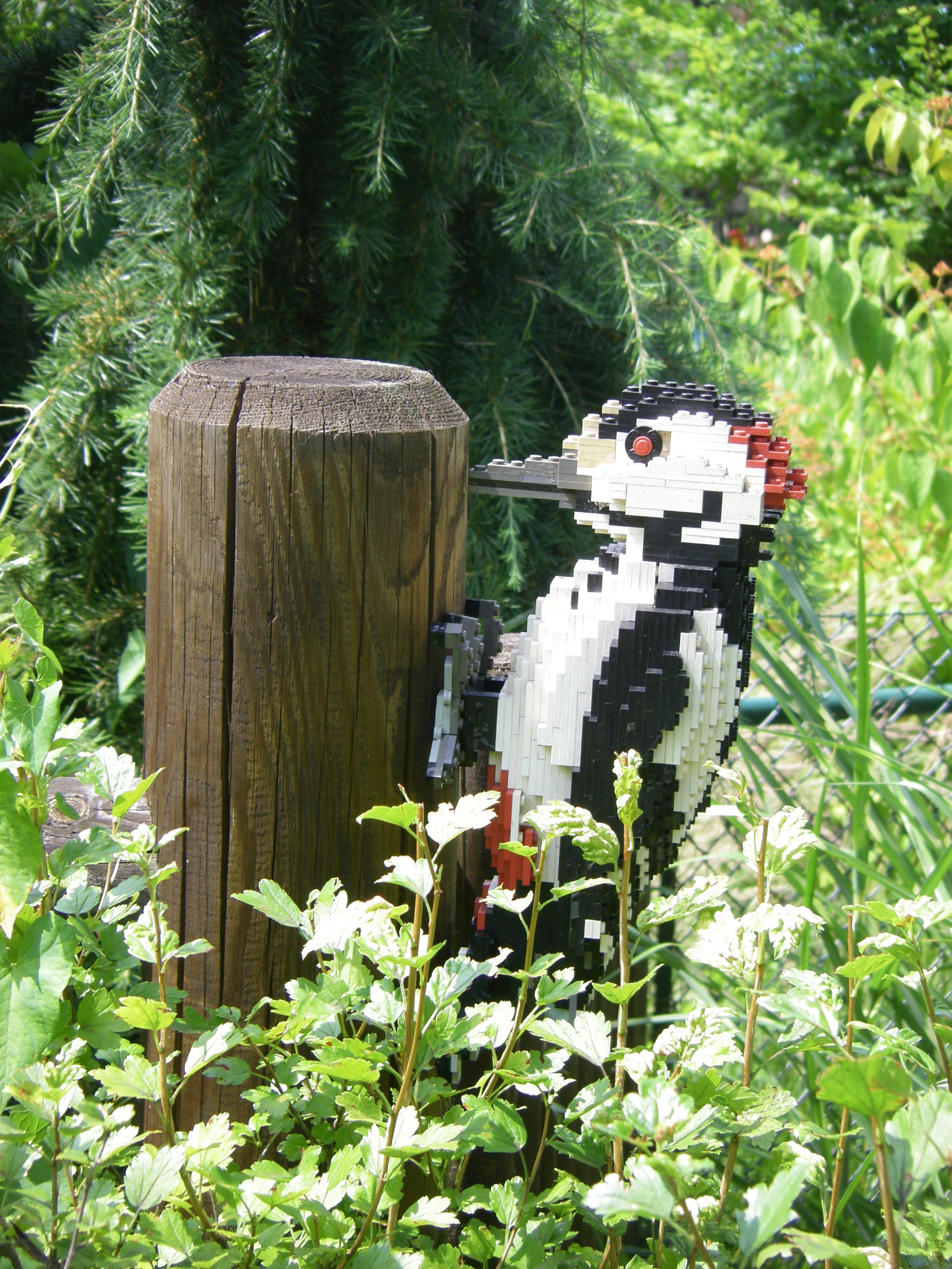 imgp5480.jpg