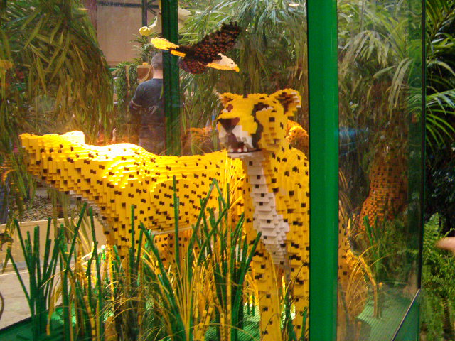 animals3.jpg