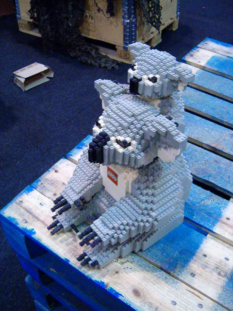 koala10.jpg