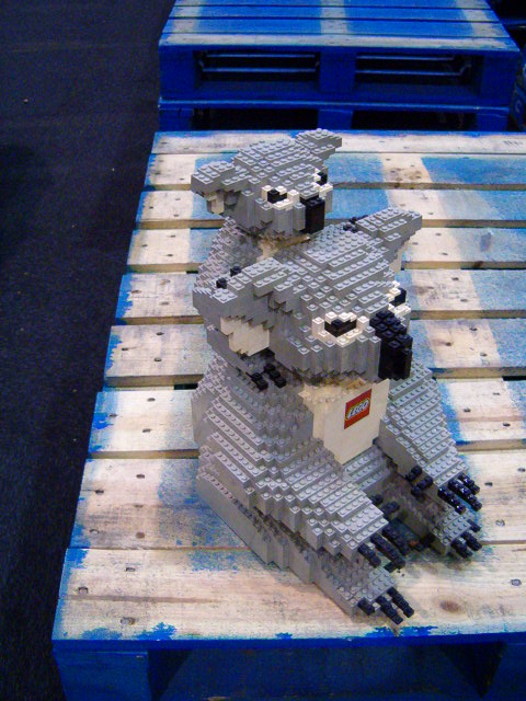 koala8.jpg