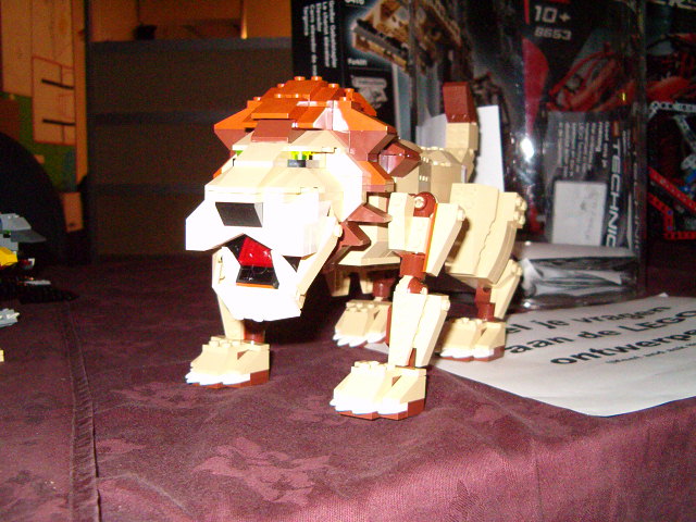 lion.jpg